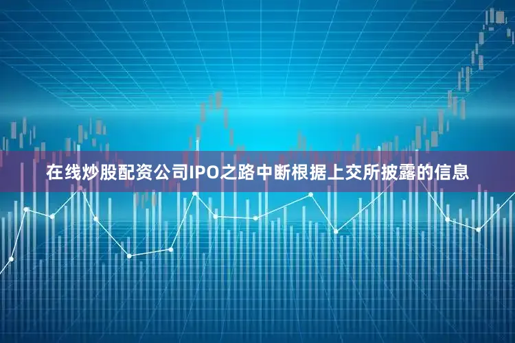 在线炒股配资公司IPO之路中断根据上交所披露的信息