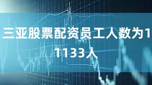 三亚股票配资员工人数为11133人