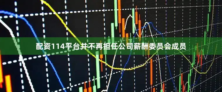 配资114平台并不再担任公司薪酬委员会成员