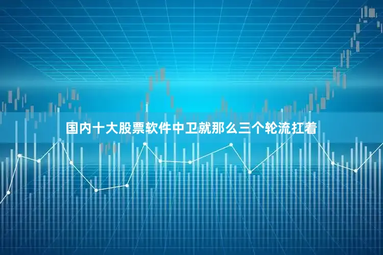 国内十大股票软件中卫就那么三个轮流扛着