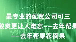 最专业的配资公司可三华李的酸爽更让人难忘——去年帮果农摘果